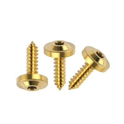 Självgängande skruv i titan